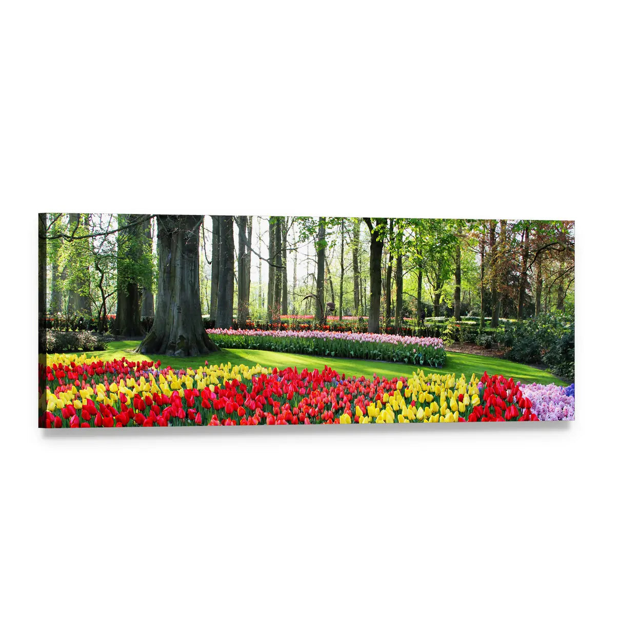Tulips and Spring Hyacinths Panoramic Canvas Wall Art, single panel gallery wrapped canvas, angled product view