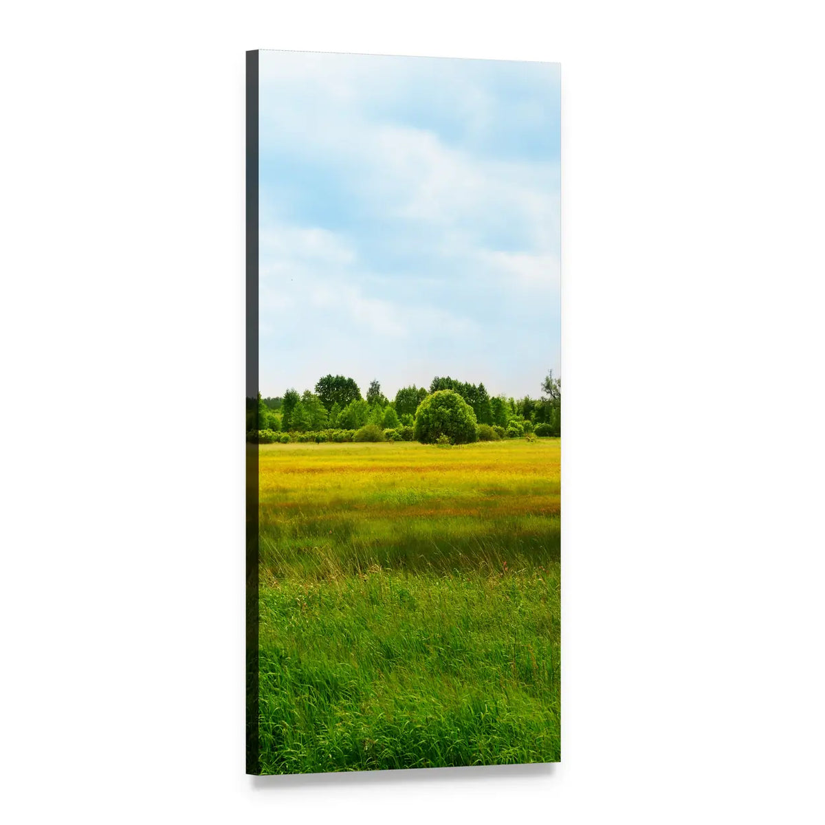 Summer Meadow Landscape with Golden Grass Vertical Canvas Wall Art, 1 panel 1 Vertical layout gallery wrapped canvas set, angled product view