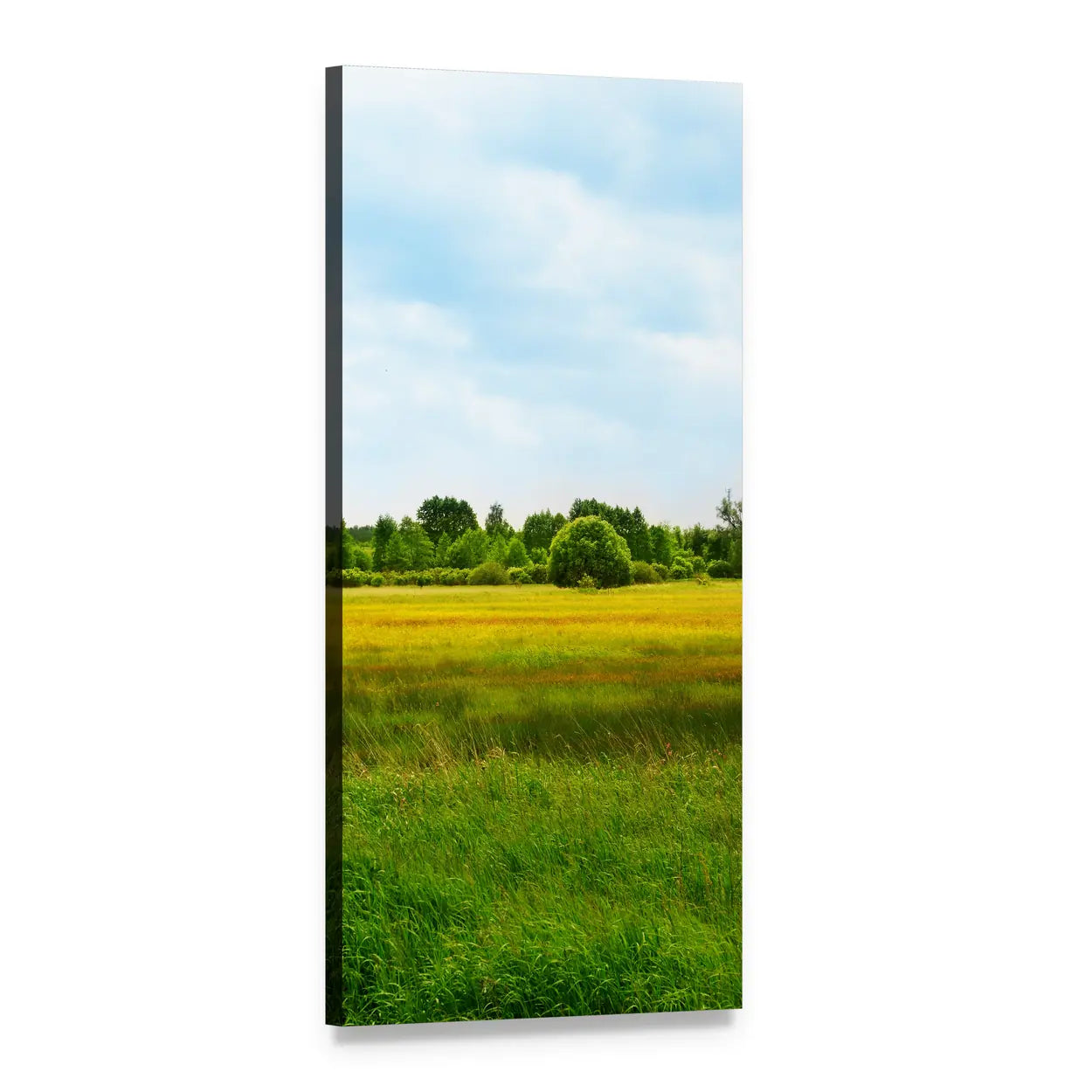 Summer Meadow Landscape with Golden Grass Vertical Canvas Wall Art, 1 panel 1 Vertical layout gallery wrapped canvas set, angled product view
