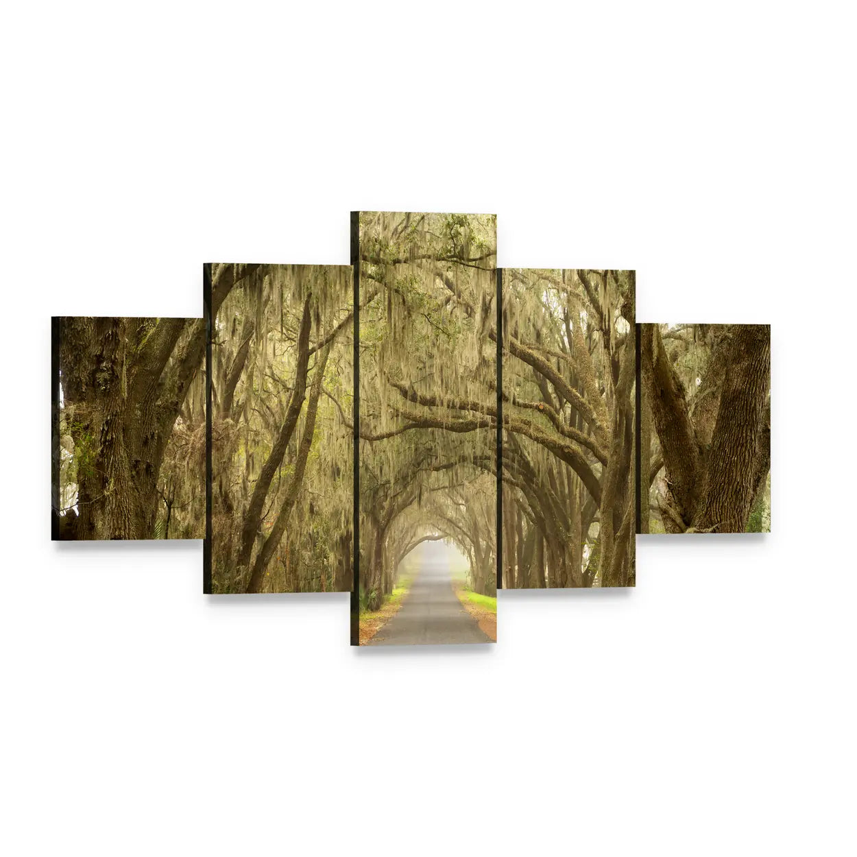 Oak Tunnel Road with Spanish Moss Canvas Wall Art, 5 panel 5 Star layout gallery wrapped canvas set, angled product view