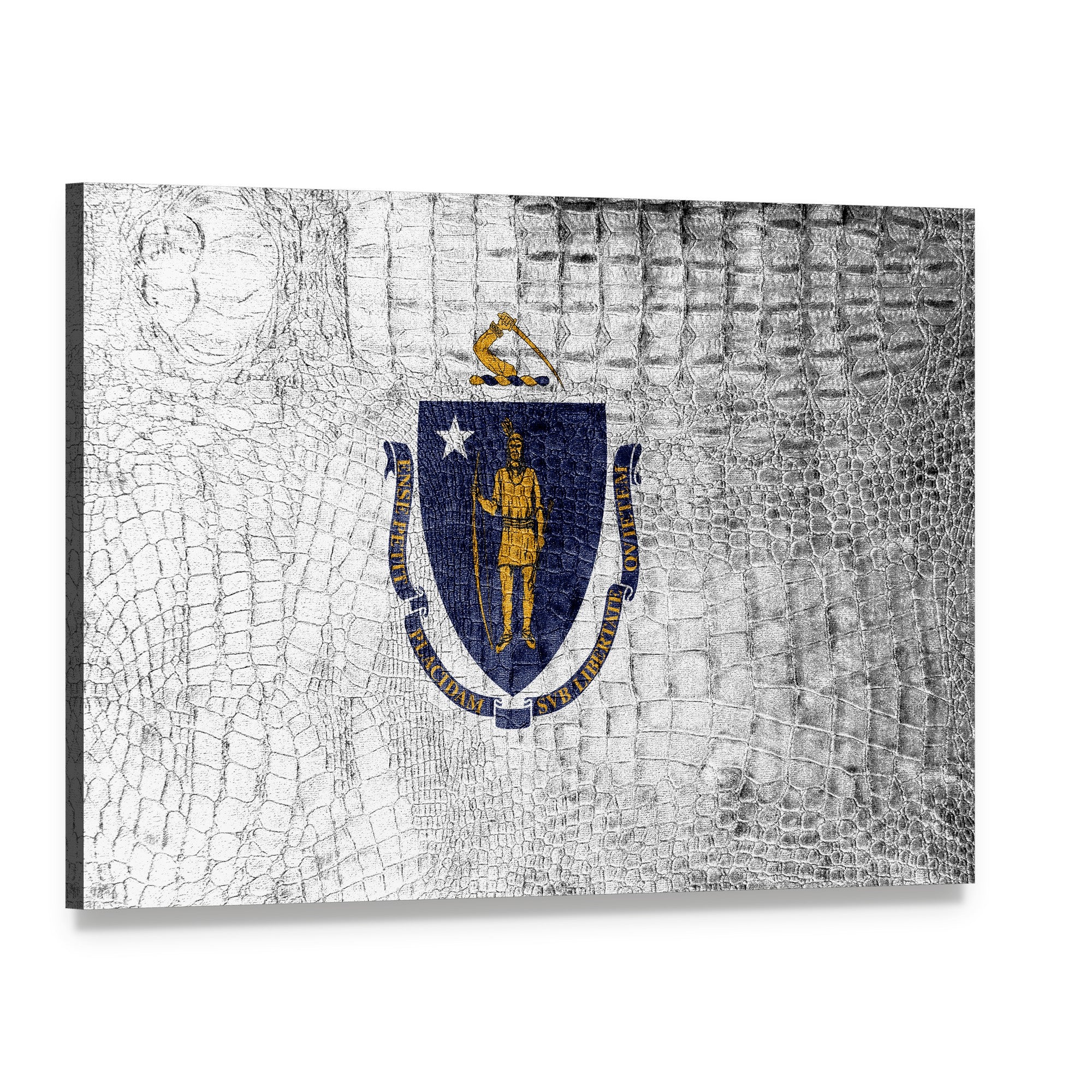 Massachusetts State Flag with Textured Background Canvas Wall Art, single panel gallery wrapped canvas, angled product view