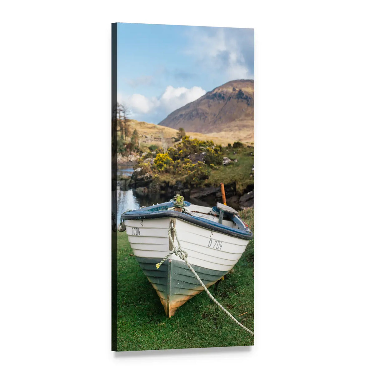 Boat on Green Grass Vertical Canvas Wall Art, 1 panel 1 Vertical layout gallery wrapped canvas set, angled product view
