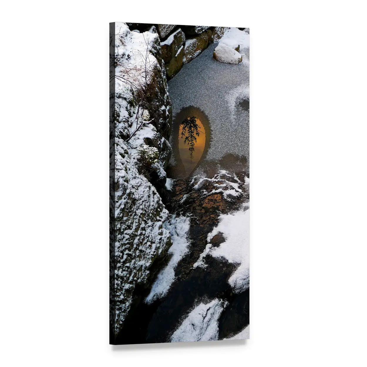 Glowing Winter Pool with Bare Tree Reflection Vertical Canvas Wall Art, 1 panel 1 Vertical layout gallery wrapped canvas set, angled product view