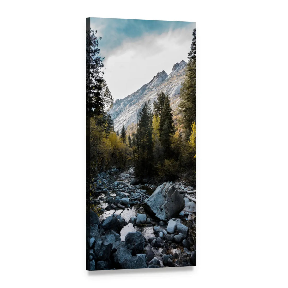 Rocky Mountain River with Pine Trees Vertical Canvas Wall Art, 1 panel 1 Vertical layout gallery wrapped canvas set, angled product view