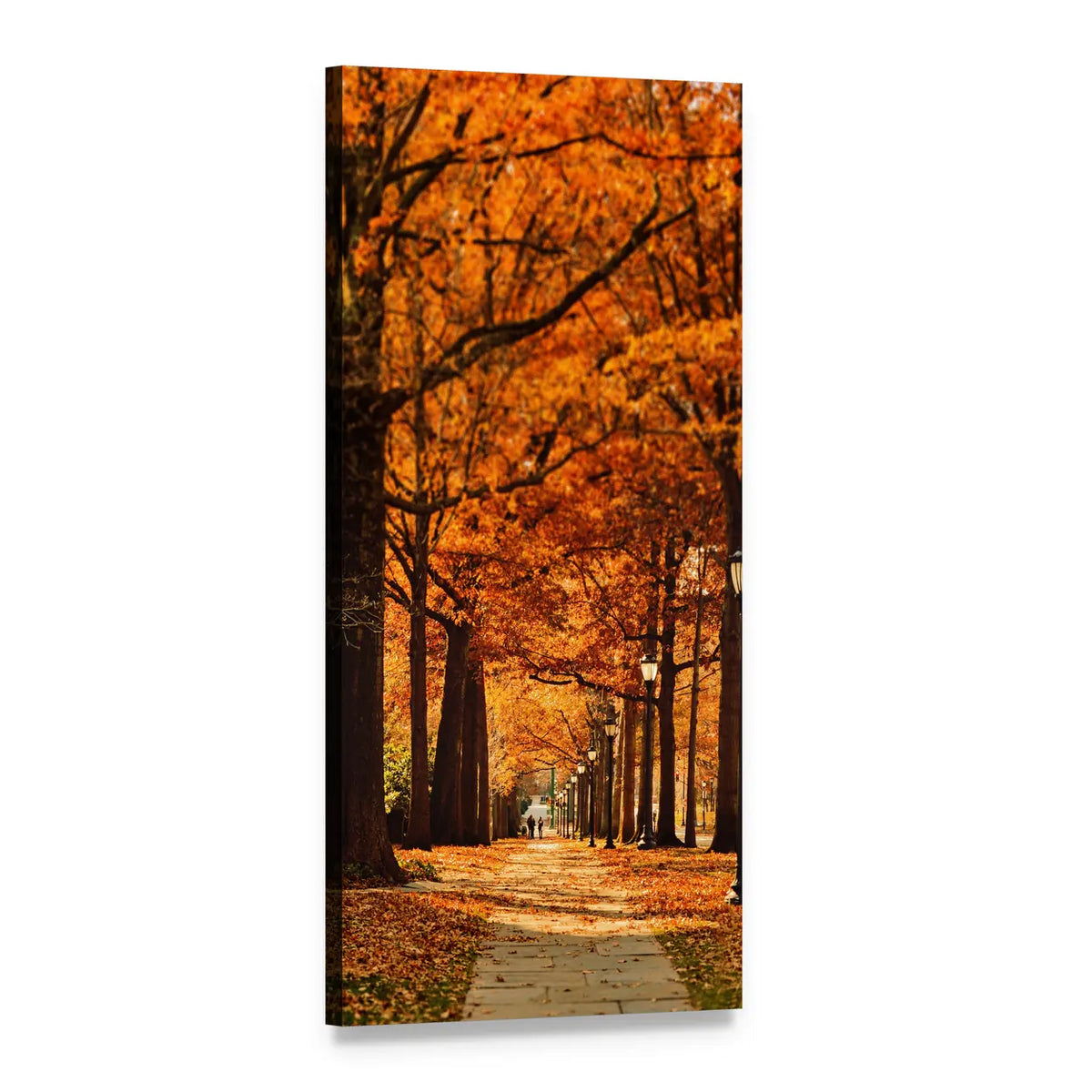 Autumn Tree-lined Pathway with Street Lamps Vertical Canvas Wall Art, 1 panel 1 Vertical layout gallery wrapped canvas set, angled product view