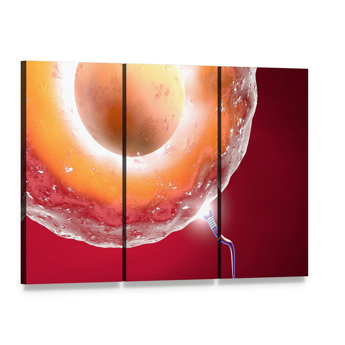 Ovum and Sperm Canvas Wall Art, 3 panel 3 Horizontal layout gallery wrapped canvas set, angled product view
