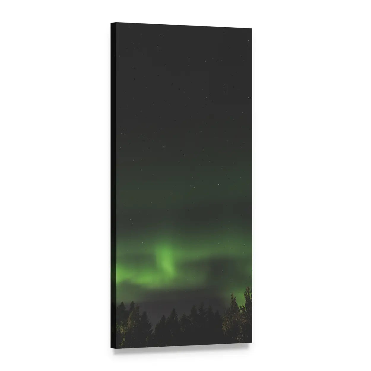 Aurora Borealis Over Forest Silhouette Vertical Canvas Wall Art, 1 panel 1 Vertical layout gallery wrapped canvas set, angled product view