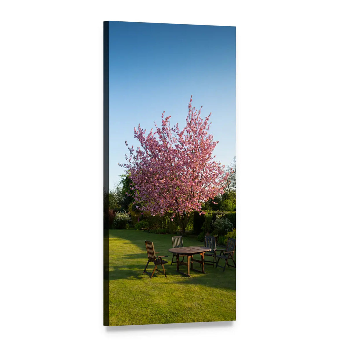 Spring Garden Lawn with Pink Blossoms Vertical Canvas Wall Art, 1 panel 1 Vertical layout gallery wrapped canvas set, angled product view