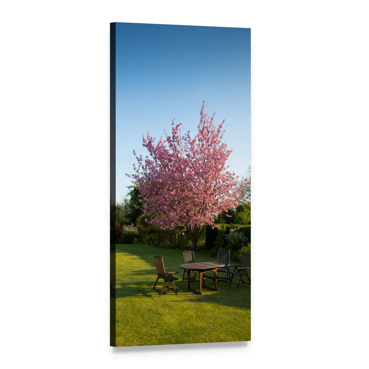 Spring Garden Lawn with Pink Blossoms Vertical Canvas Wall Art, 1 panel 1 Vertical layout gallery wrapped canvas set, angled product view