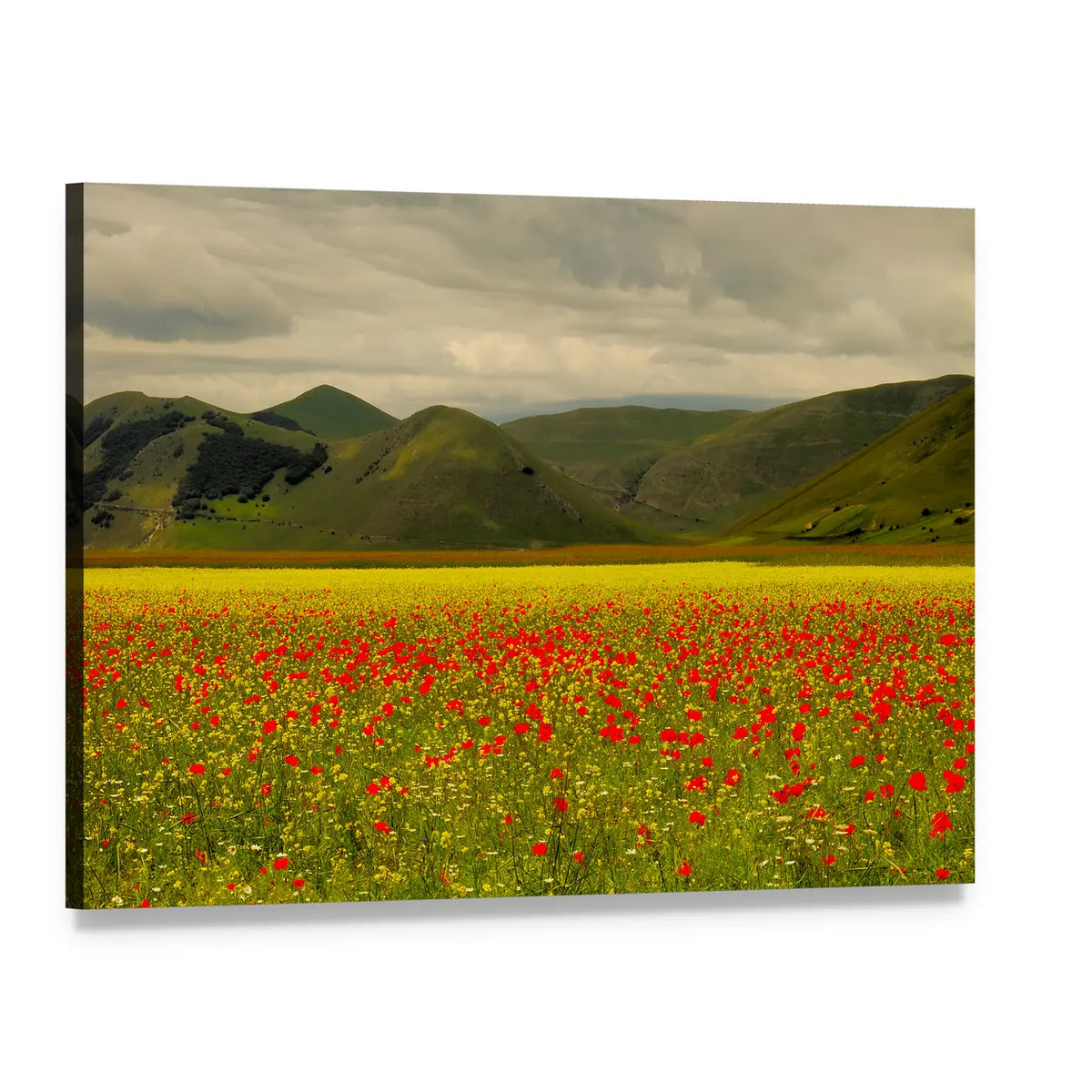 Castelluccio Di Norcia Meadow with Red Poppies Canvas Wall Art, single panel gallery wrapped canvas, angled product view