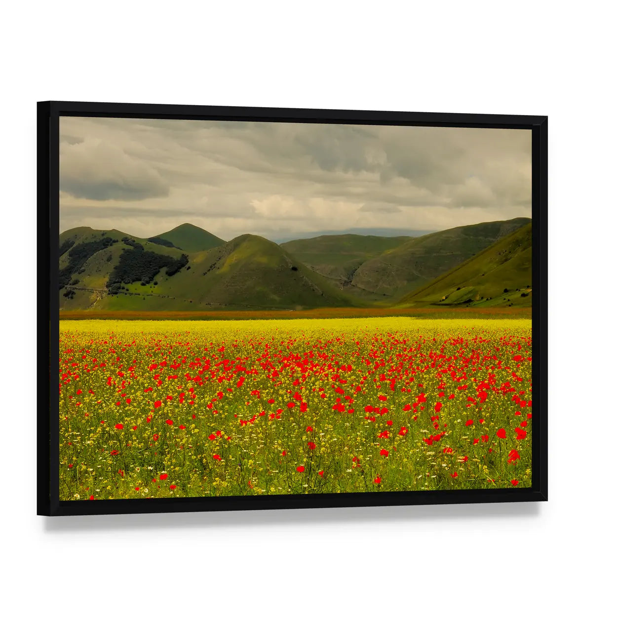 Castelluccio Di Norcia Meadow with Red Poppies Canvas Wall Art, framed canvas in a black floater frame, angled product view