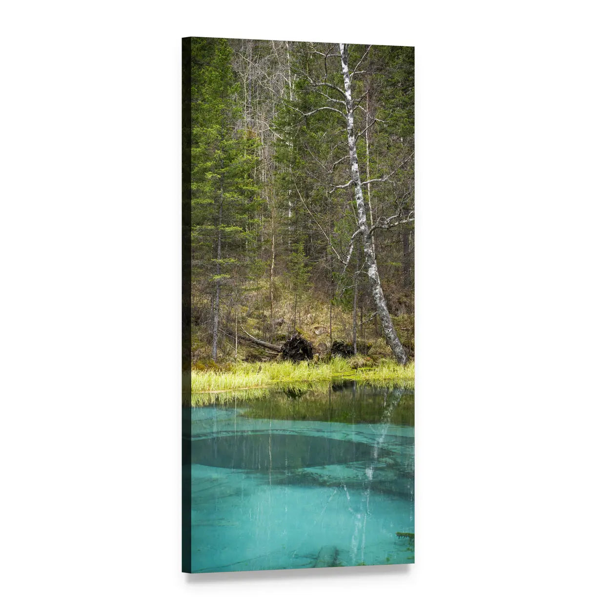 Turquoise Spring Lake in Altai Russia Vertical Canvas Wall Art, 1 panel 1 Vertical layout gallery wrapped canvas set, angled product view