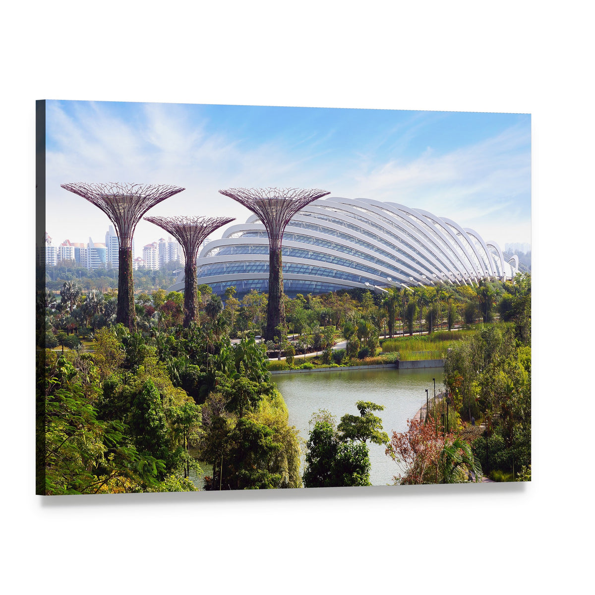 Supertree Grove at Gardens by the Bay Canvas Wall Art, single panel gallery wrapped canvas, angled product view