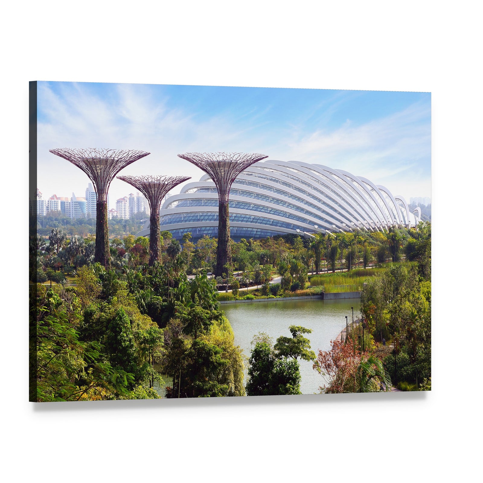 Supertree Grove at Gardens by the Bay Canvas Wall Art, single panel gallery wrapped canvas, angled product view