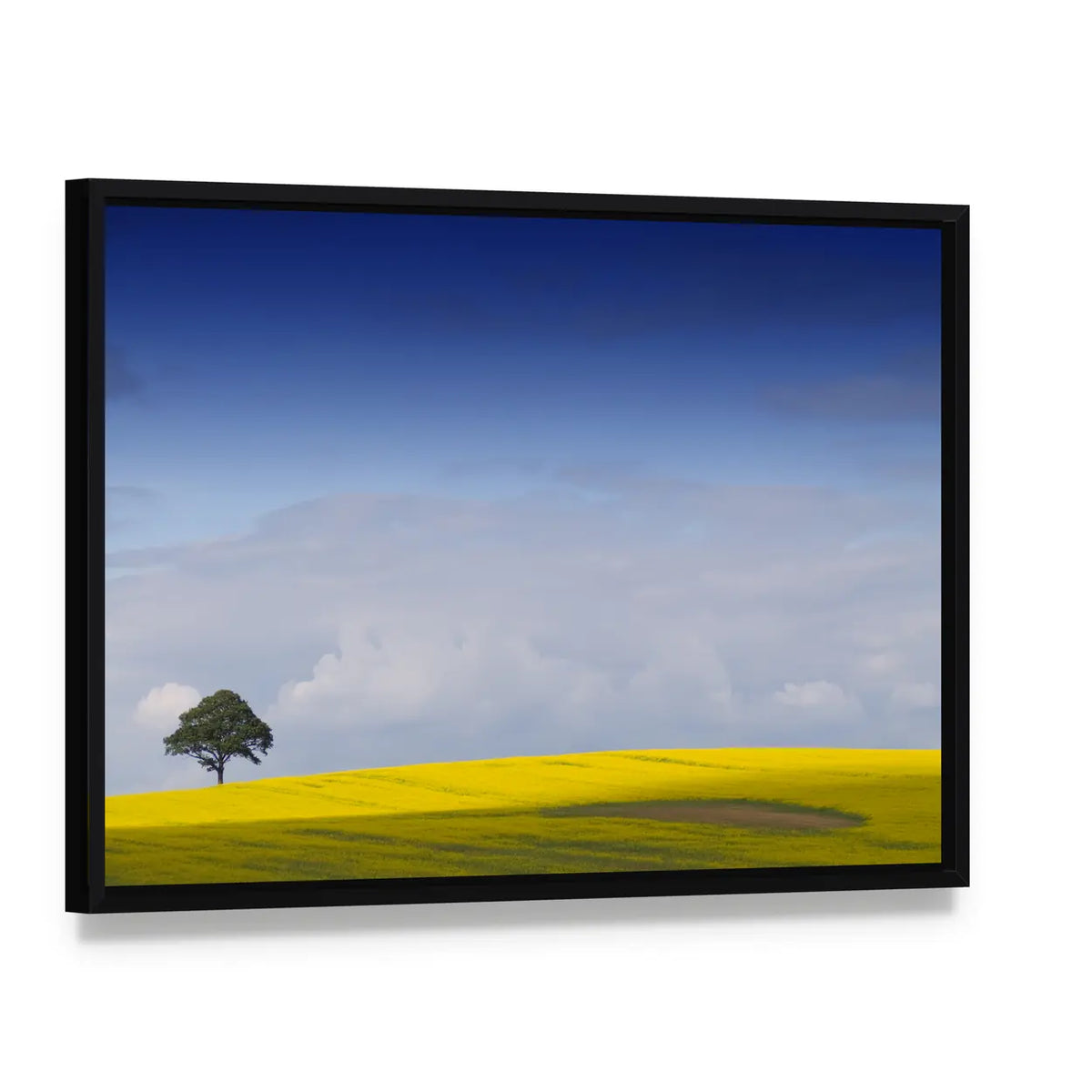 Yellow Rapeseed Field with Lone Tree Canvas Wall Art, framed canvas in a black floater frame, angled product view