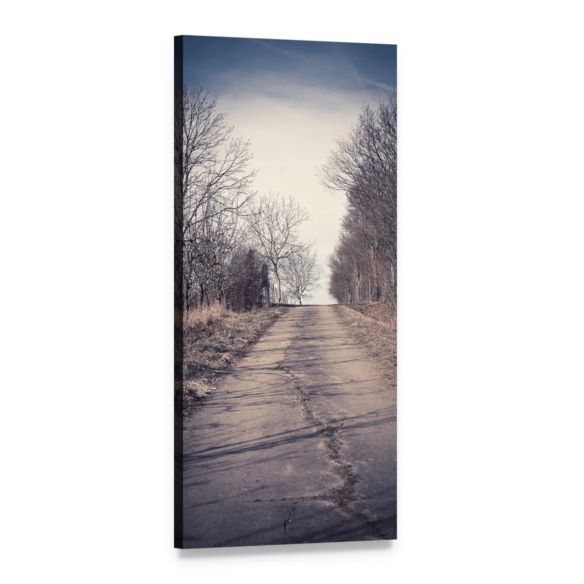Cracked Country Lane Vertical Canvas Wall Art, 1 panel 1 Vertical layout gallery wrapped canvas set, angled product view