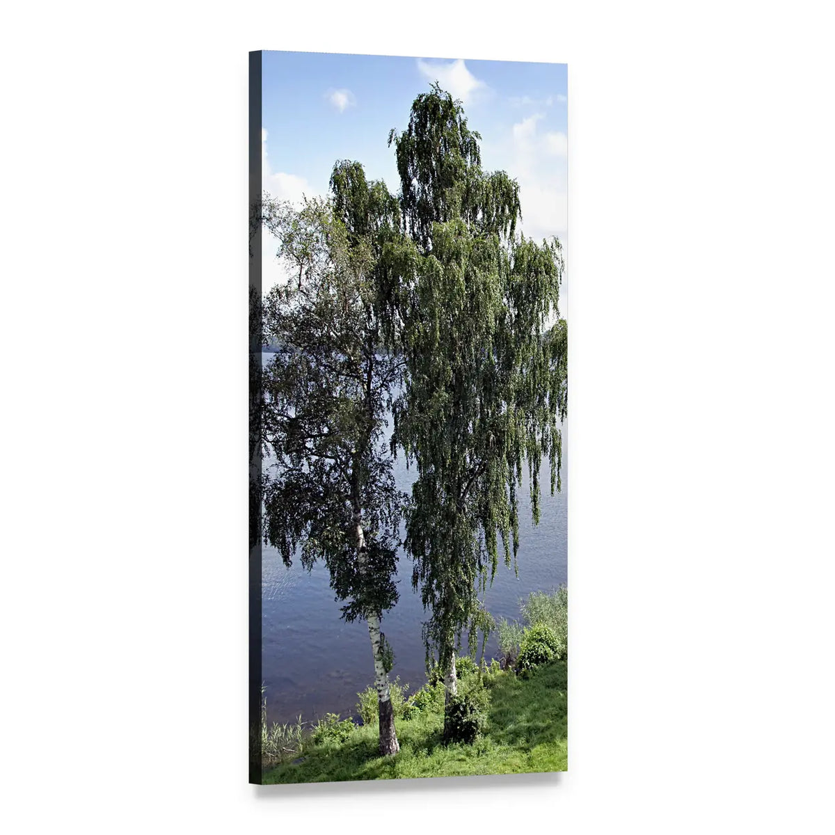 Two Birch Trees by a Lake Vertical Canvas Wall Art, 1 panel 1 Vertical layout gallery wrapped canvas set, angled product view