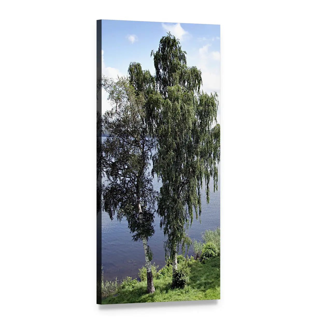 Two Birch Trees by a Lake Vertical Canvas Wall Art, 1 panel 1 Vertical layout gallery wrapped canvas set, angled product view