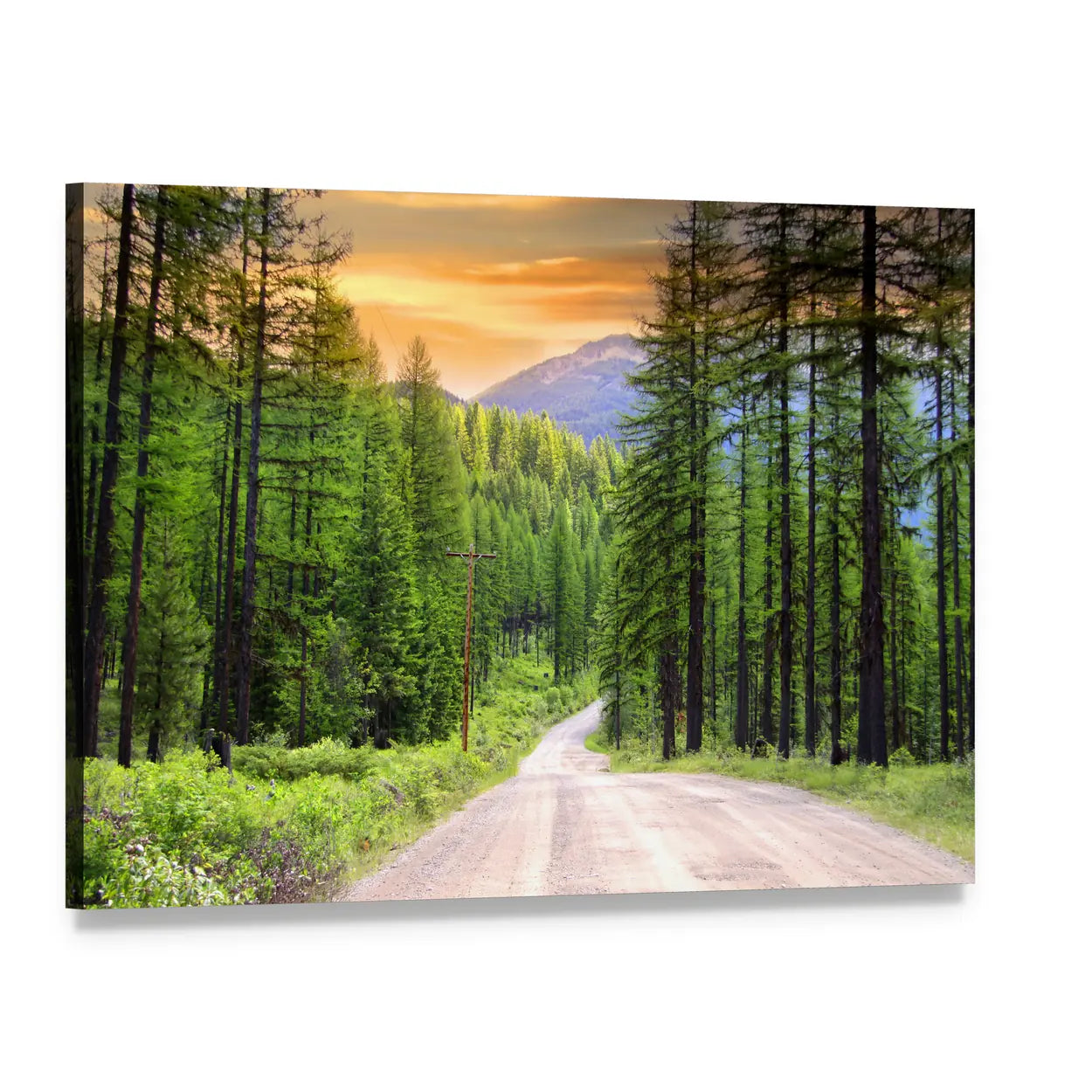 Sunlit Mountain Road Through Evergreen Forest Canvas Wall Art, single panel gallery wrapped canvas, angled product view