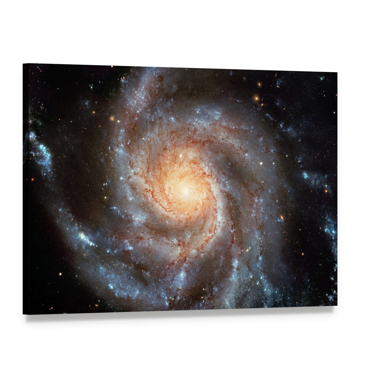 Giant Spiral Disk Canvas Wall Art, single panel gallery wrapped canvas, angled product view