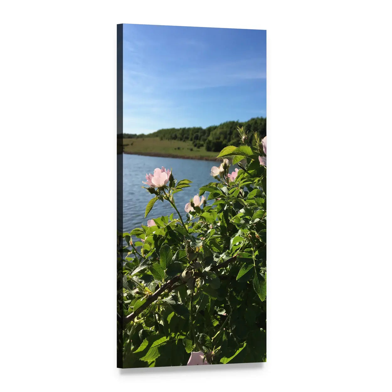 Wild Pink Roses by the Lake Vertical Canvas Wall Art, 1 panel 1 Vertical layout gallery wrapped canvas set, angled product view