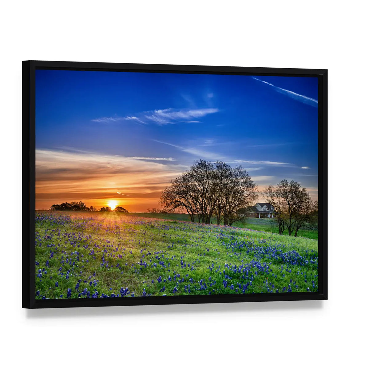 Bluebonnet Field at Sunset Canvas Wall Art, framed canvas in a black floater frame, angled product view