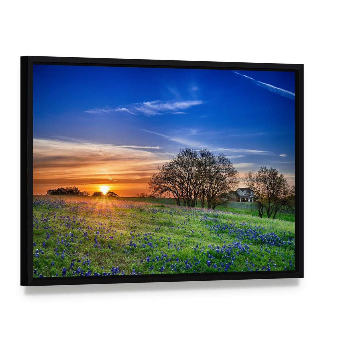 Texas Bluebonnet Field at Sunset Canvas Wall Art, framed canvas in a black floater frame, angled product view