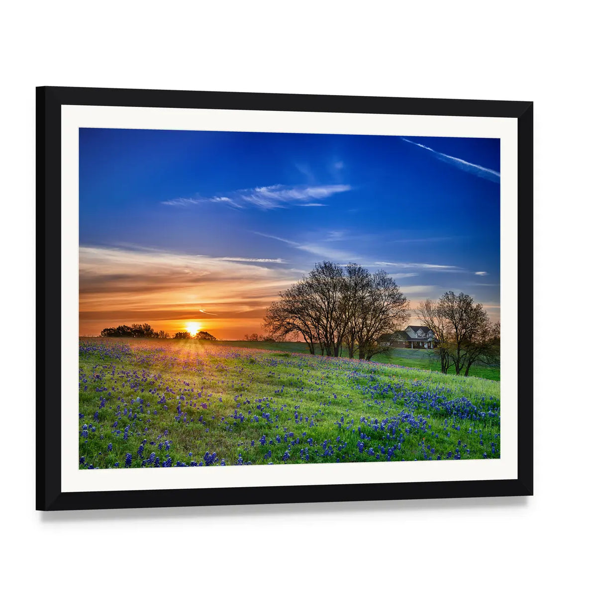 Bluebonnet Field at Sunset Canvas Wall Art, framed print with white mat and black frame, angled product view