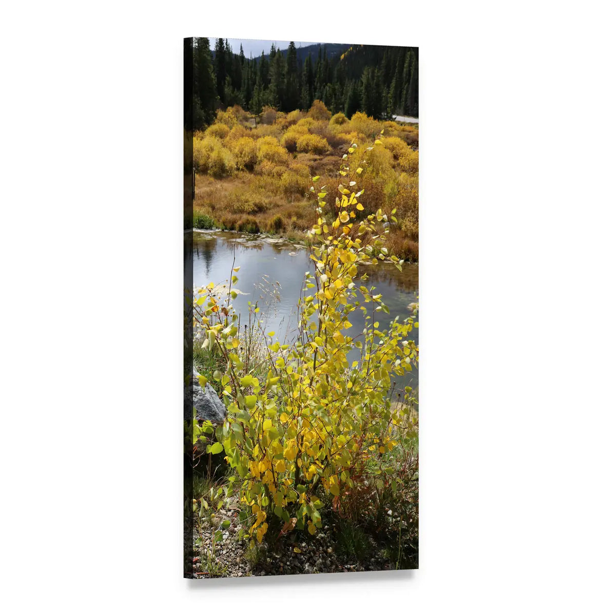 Autumn Forest River Landscape Vertical Canvas Wall Art, 1 panel 1 Vertical layout gallery wrapped canvas set, angled product view