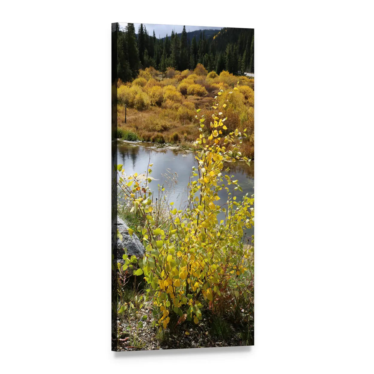 Autumn River Through Forest Vertical Canvas Wall Art, 1 panel 1 Vertical layout gallery wrapped canvas set, angled product view