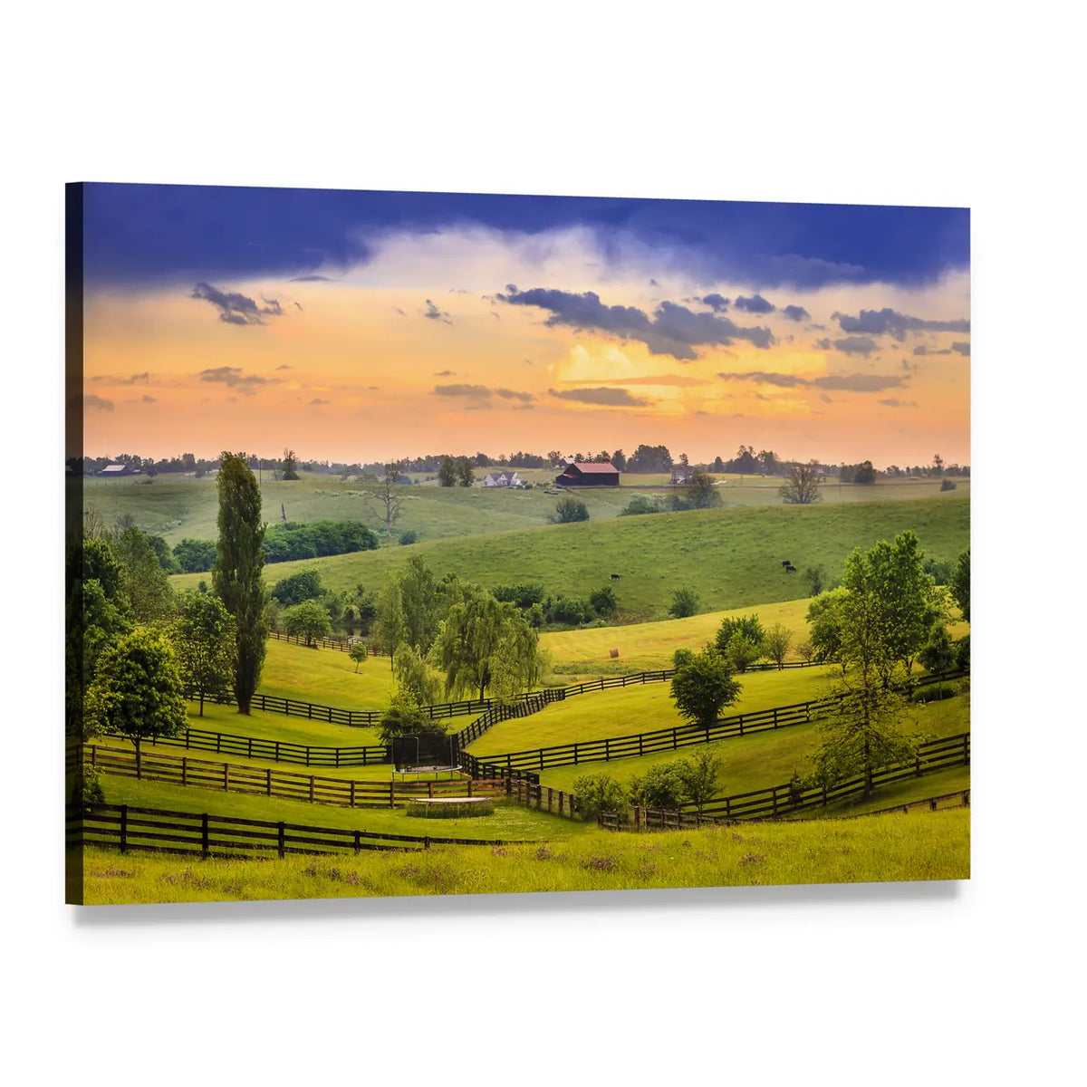 Kentucky Evening Farm Landscape Canvas Wall Art, single panel gallery wrapped canvas, angled product view