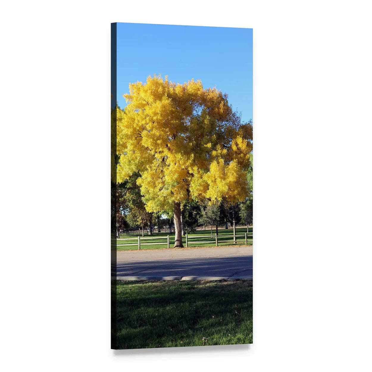 Yellow Leaves Along a Road Vertical Canvas Wall Art, 1 panel 1 Vertical layout gallery wrapped canvas set, angled product view