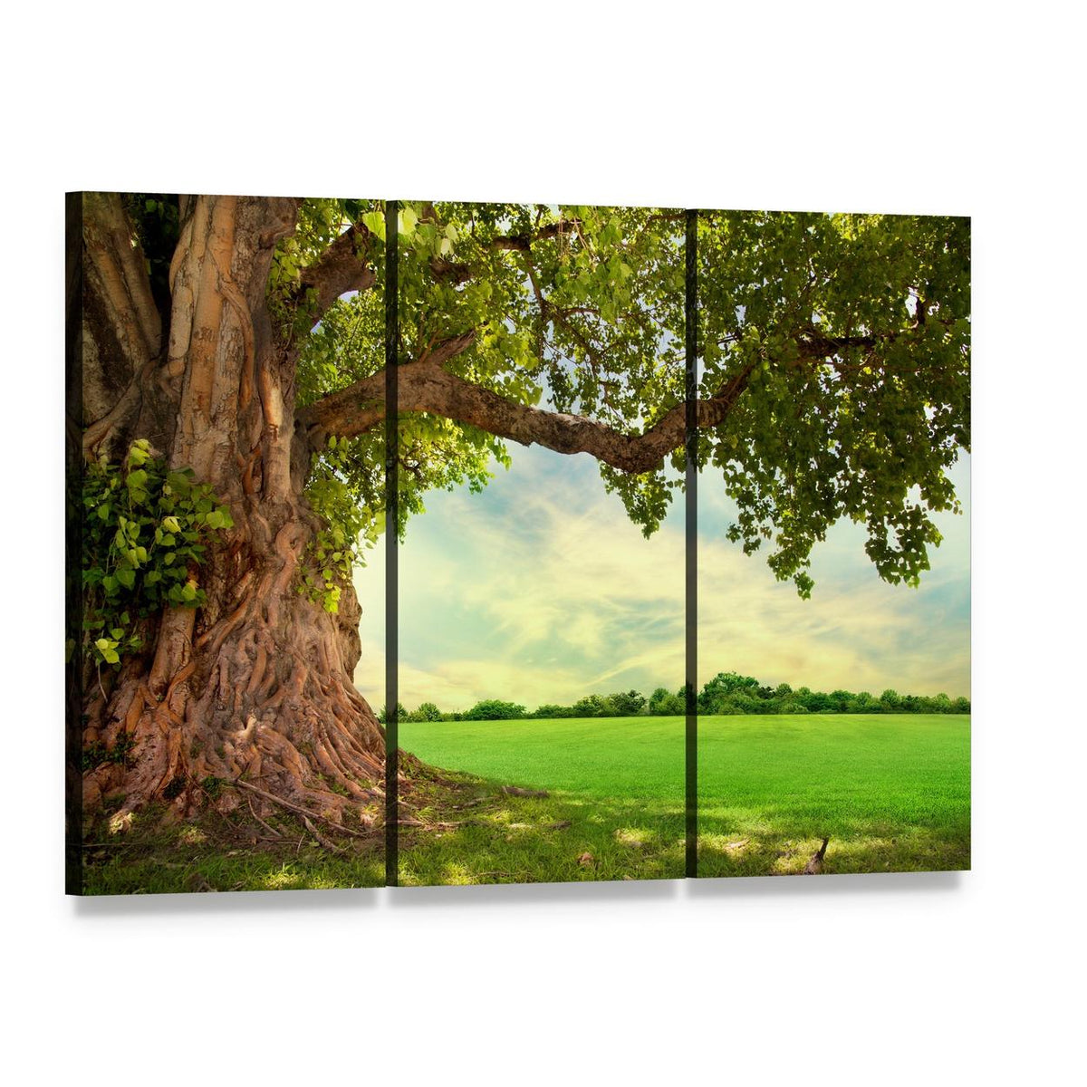 Spring Meadow with Big Tree Canvas Wall Art, 3 panel 3 Horizontal layout gallery wrapped canvas set, angled product view