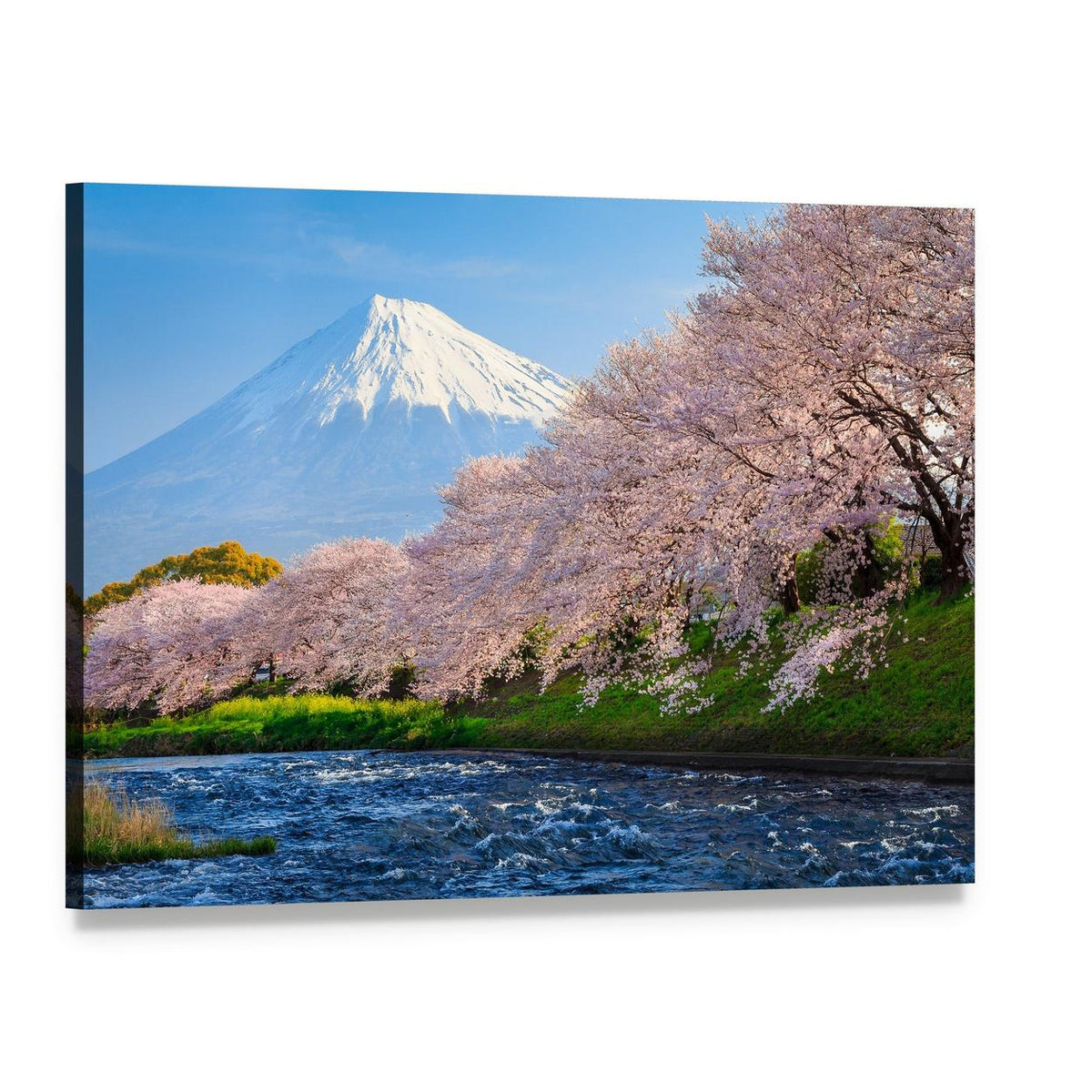 Mount Fuji and Cherry Blossoms by River Canvas Wall Art, single panel gallery wrapped canvas, angled product view