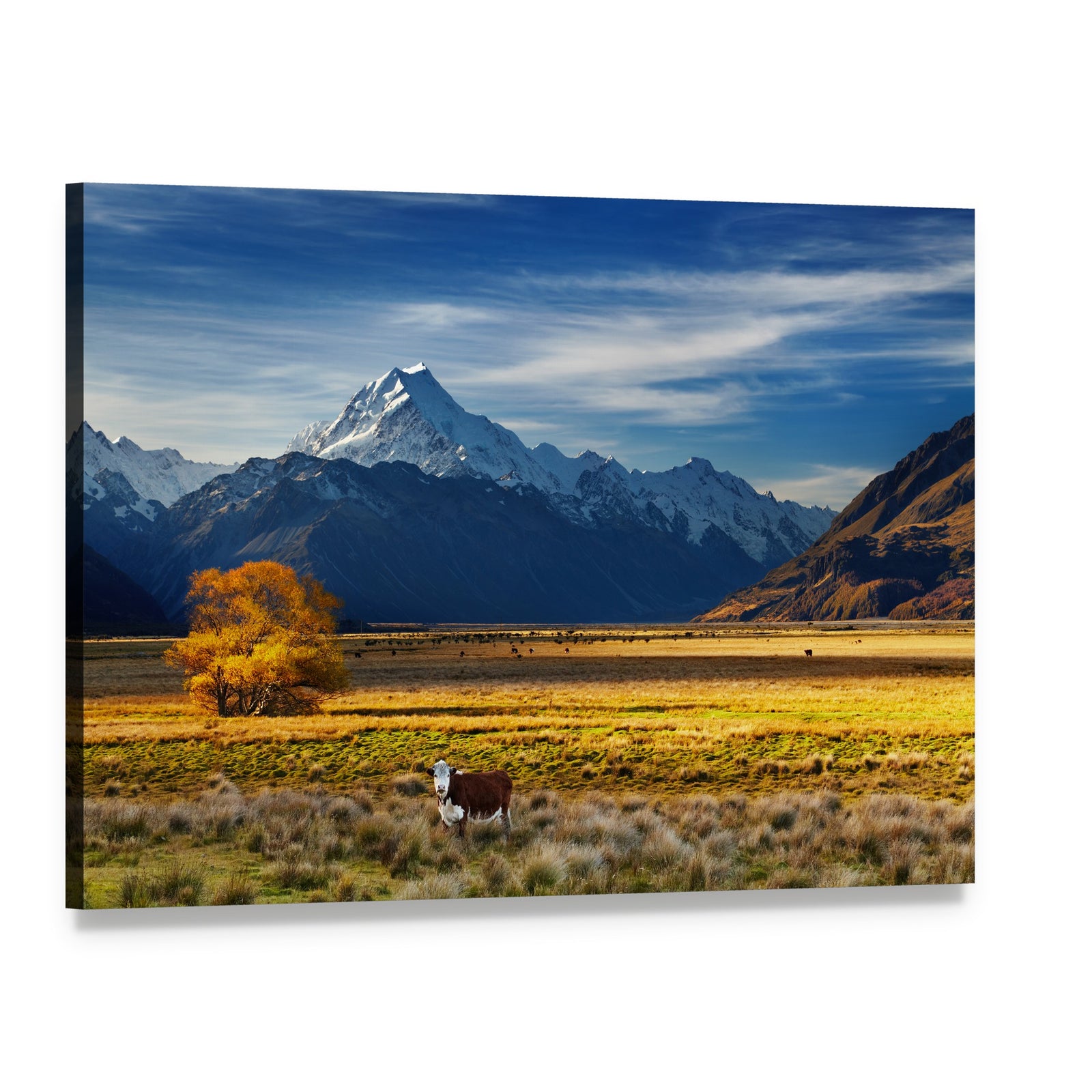 Cow by Snow-capped Mountain Canvas Wall Art, single panel gallery wrapped canvas, angled product view