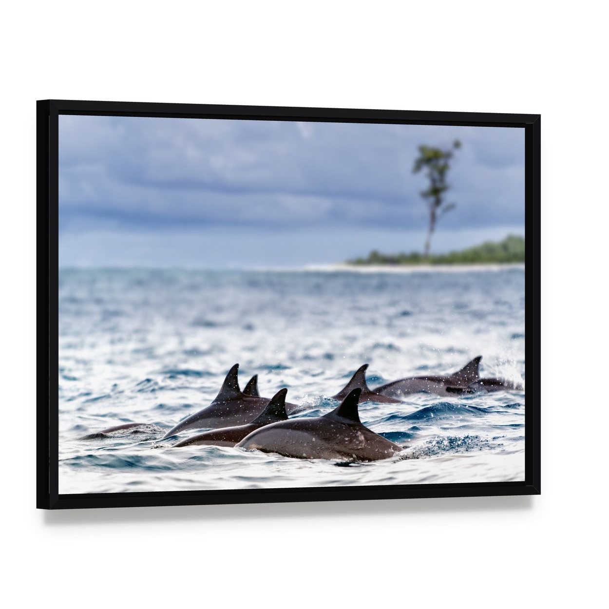 Spinner Dolphins in Shallow Bays Canvas Wall Art, framed canvas in a black floater frame, angled product view