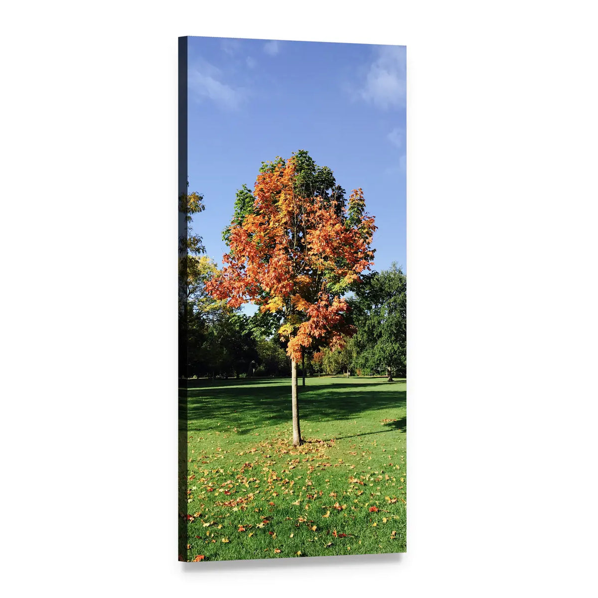 Autumn Tree with Fallen Leaves Vertical Canvas Wall Art, 1 panel 1 Vertical layout gallery wrapped canvas set, angled product view