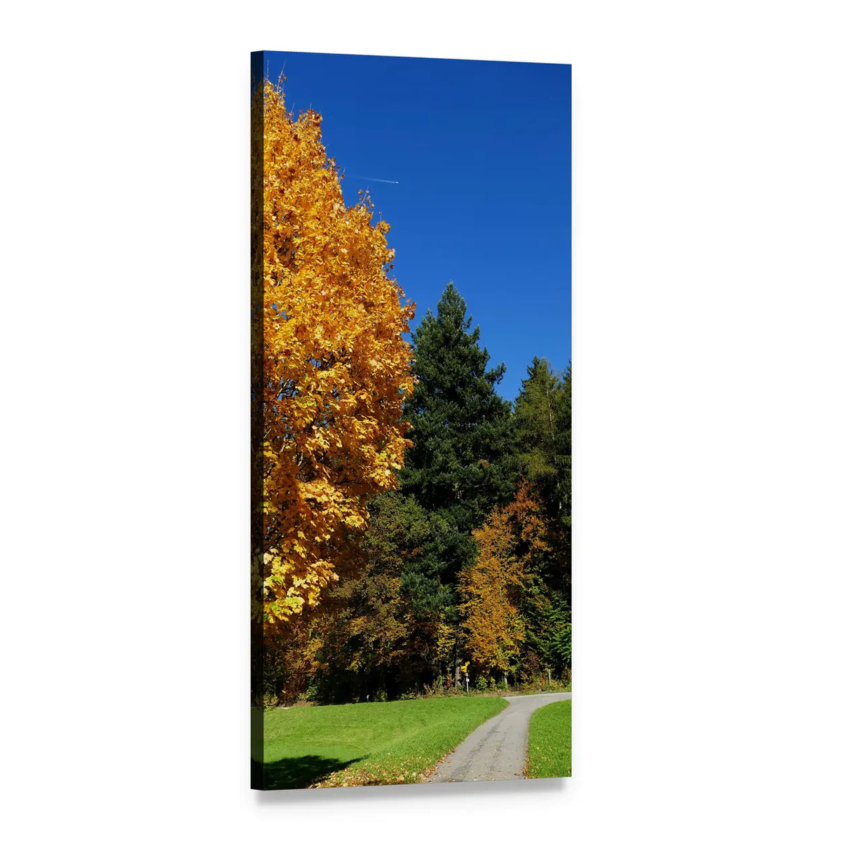 Autumn Forest Path Vertical Canvas Wall Art, 1 panel 1 Vertical layout gallery wrapped canvas set, angled product view