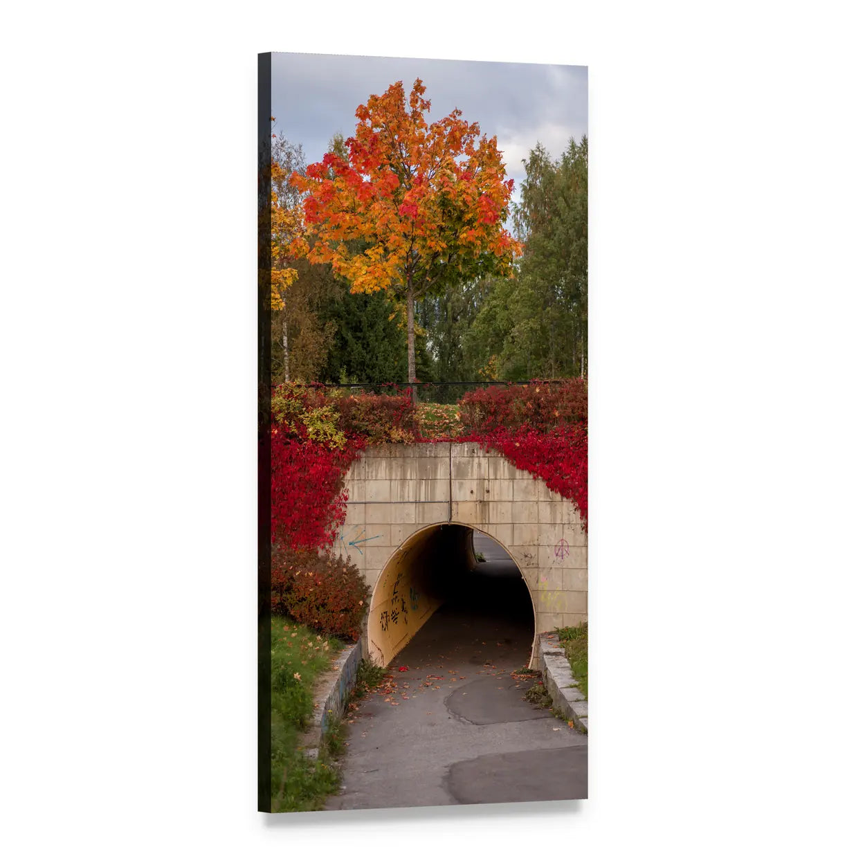Arched Tunnel with Autumn Foliage Vertical Canvas Wall Art, 1 panel 1 Vertical layout gallery wrapped canvas set, angled product view