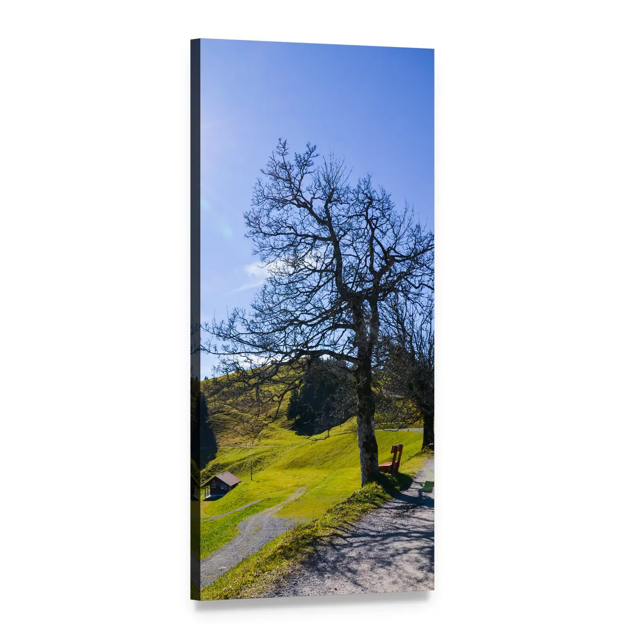 Hiking in Mountain Meadow Vertical Canvas Wall Art, 1 panel 1 Vertical layout gallery wrapped canvas set, angled product view