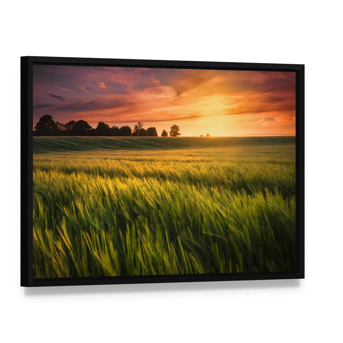Sunset Over a Wheat Field Canvas Wall Art, framed canvas in a black floater frame, angled product view
