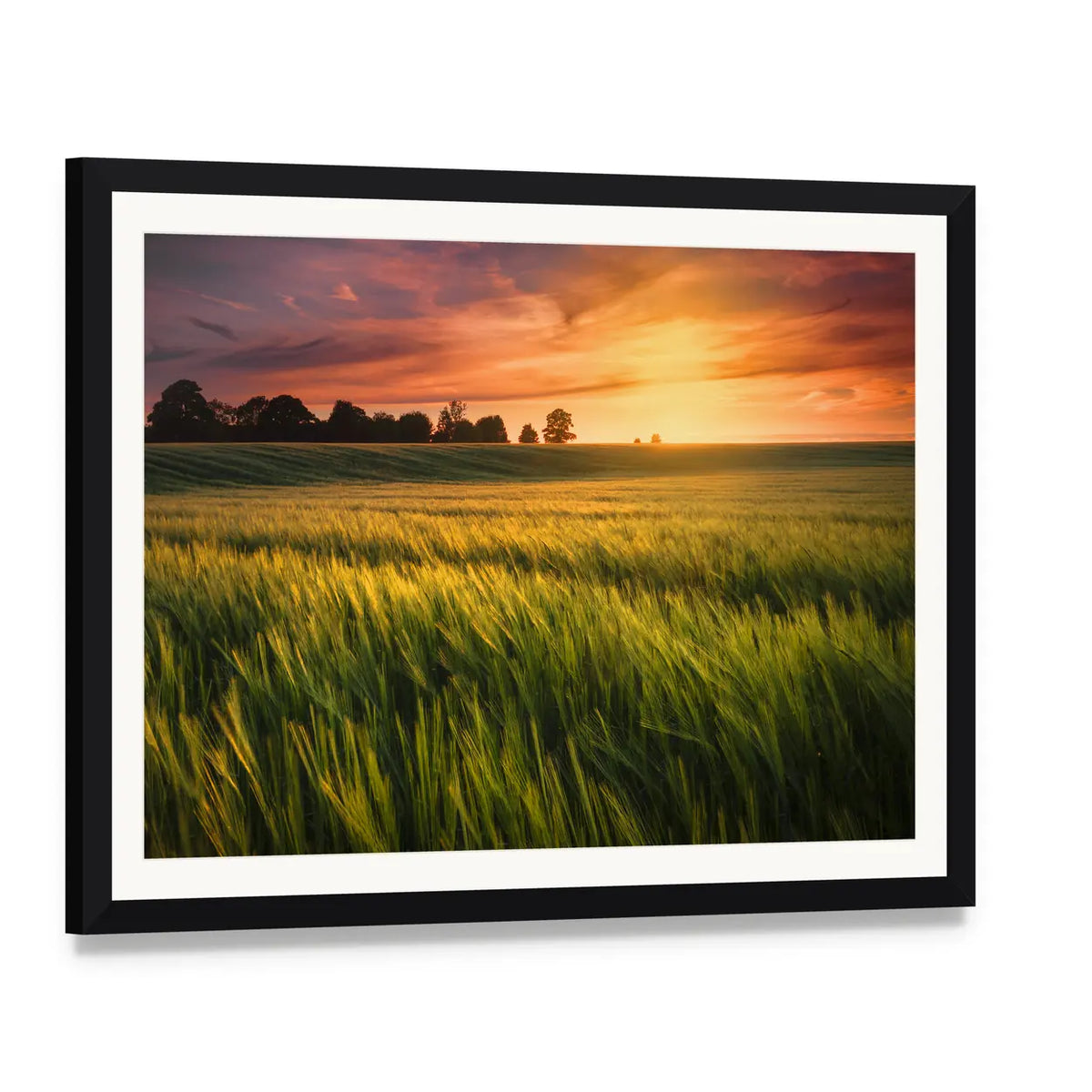 Sunset Over a Wheat Field Canvas Wall Art, framed print with white mat and black frame, angled product view
