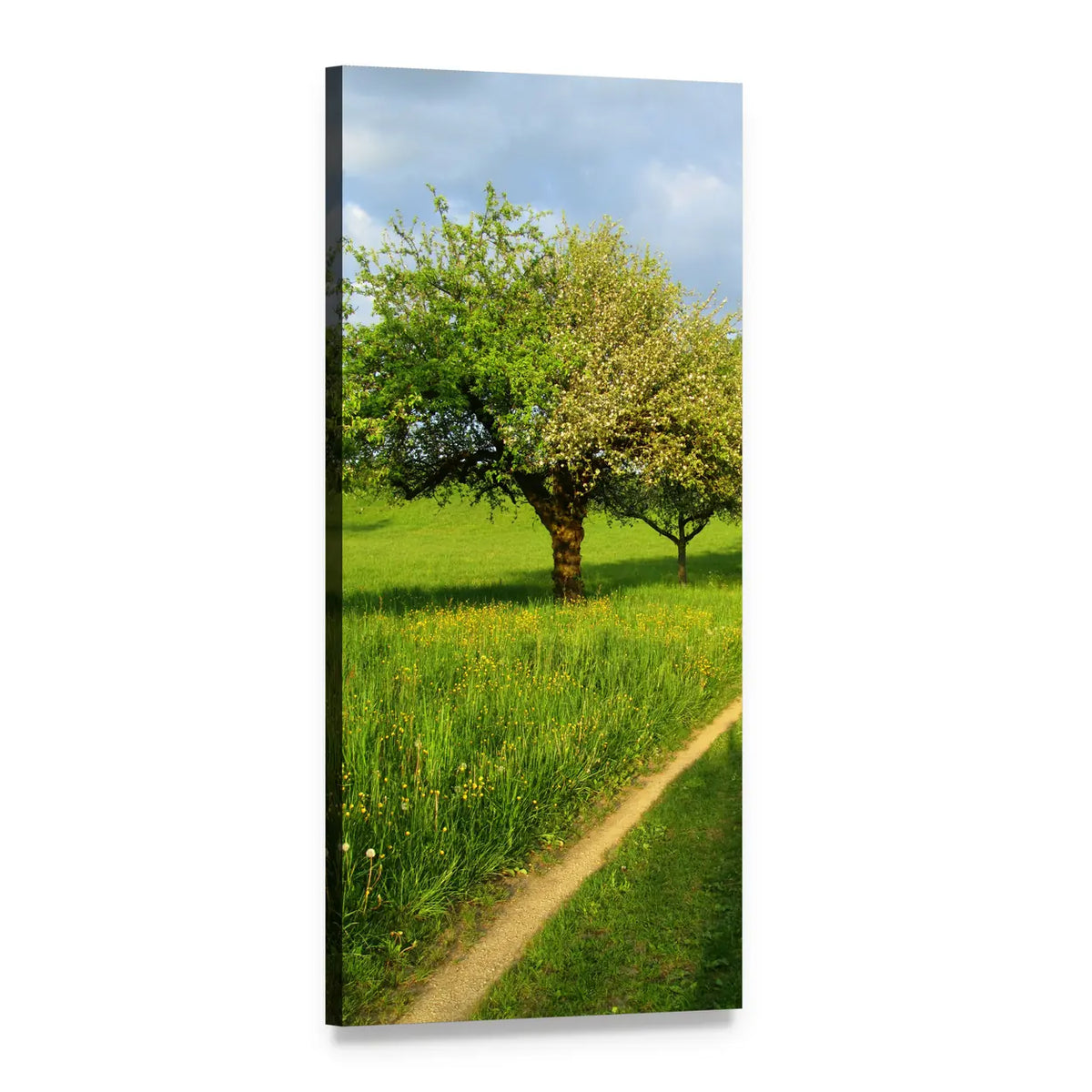 Spring Meadow with Blooming Fruit Tree Vertical Canvas Wall Art, 1 panel 1 Vertical layout gallery wrapped canvas set, angled product view
