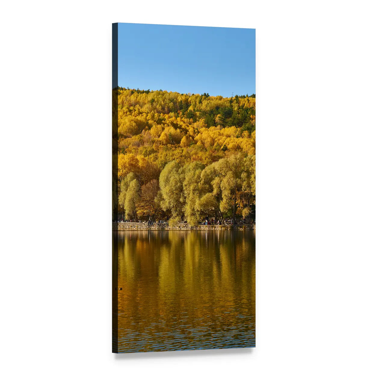 Autumn Trees at Lake Vertical Canvas Wall Art, 1 panel 1 Vertical layout gallery wrapped canvas set, angled product view