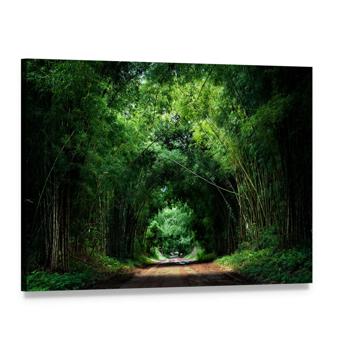 Road Through Bamboo Grove Canvas Wall Art, single panel gallery wrapped canvas, angled product view