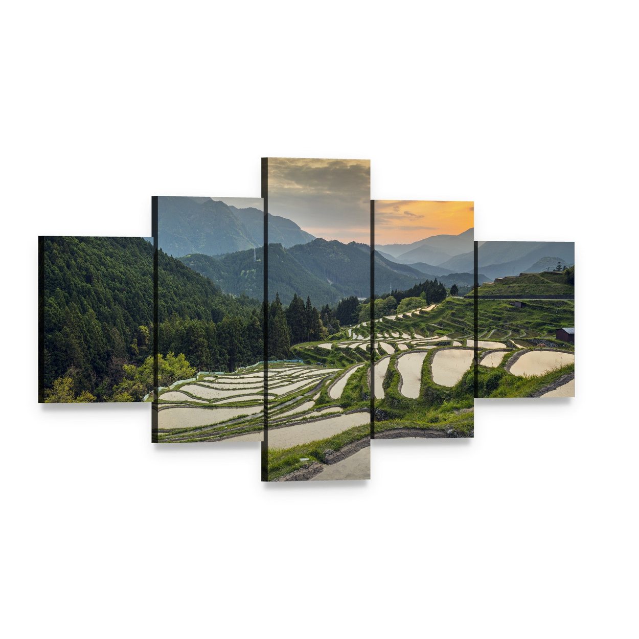 Japanese Rice Terraces Canvas Wall Art, 5 panel 5 Star layout gallery wrapped canvas set, angled product view