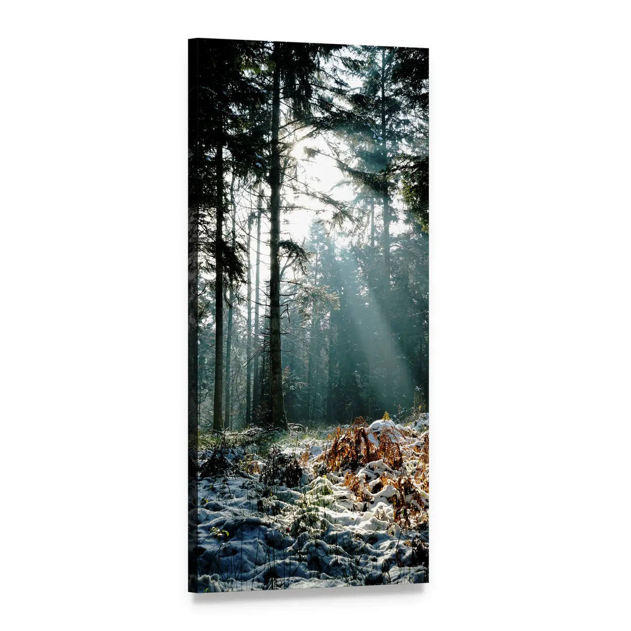 Sunbeams in a Snowy Forest Vertical Canvas Wall Art, 1 panel 1 Vertical layout gallery wrapped canvas set, angled product view