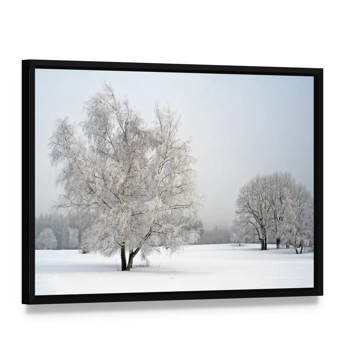 Frosted Trees in Snowy Field Canvas Wall Art, framed canvas in a black floater frame, angled product view