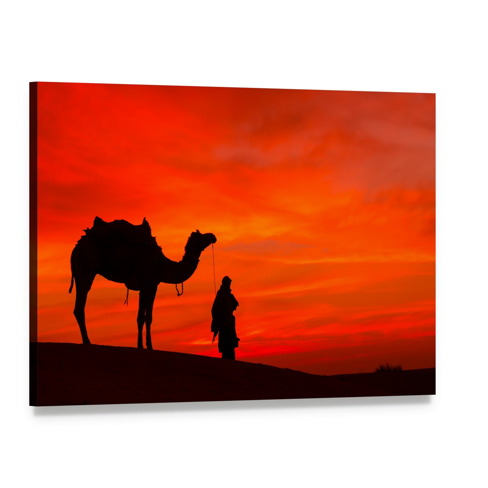 Rajasthan Sunset Camel Silhouette Canvas Wall Art, single panel gallery wrapped canvas, angled product view