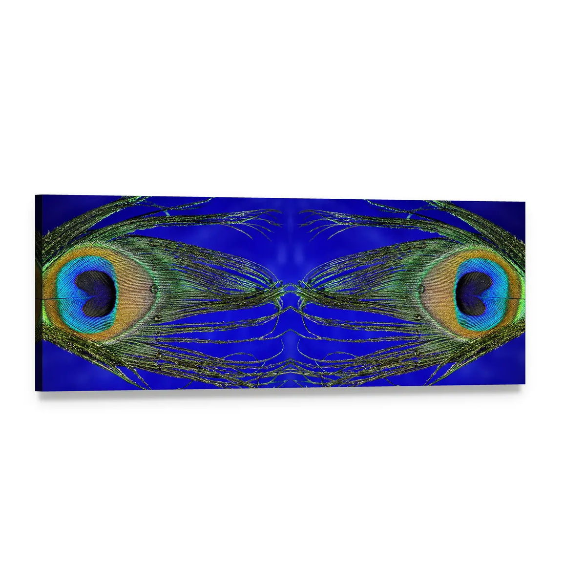 Mirrored Peacock Feather Eyes Panoramic Canvas Wall Art, single panel gallery wrapped canvas, angled product view